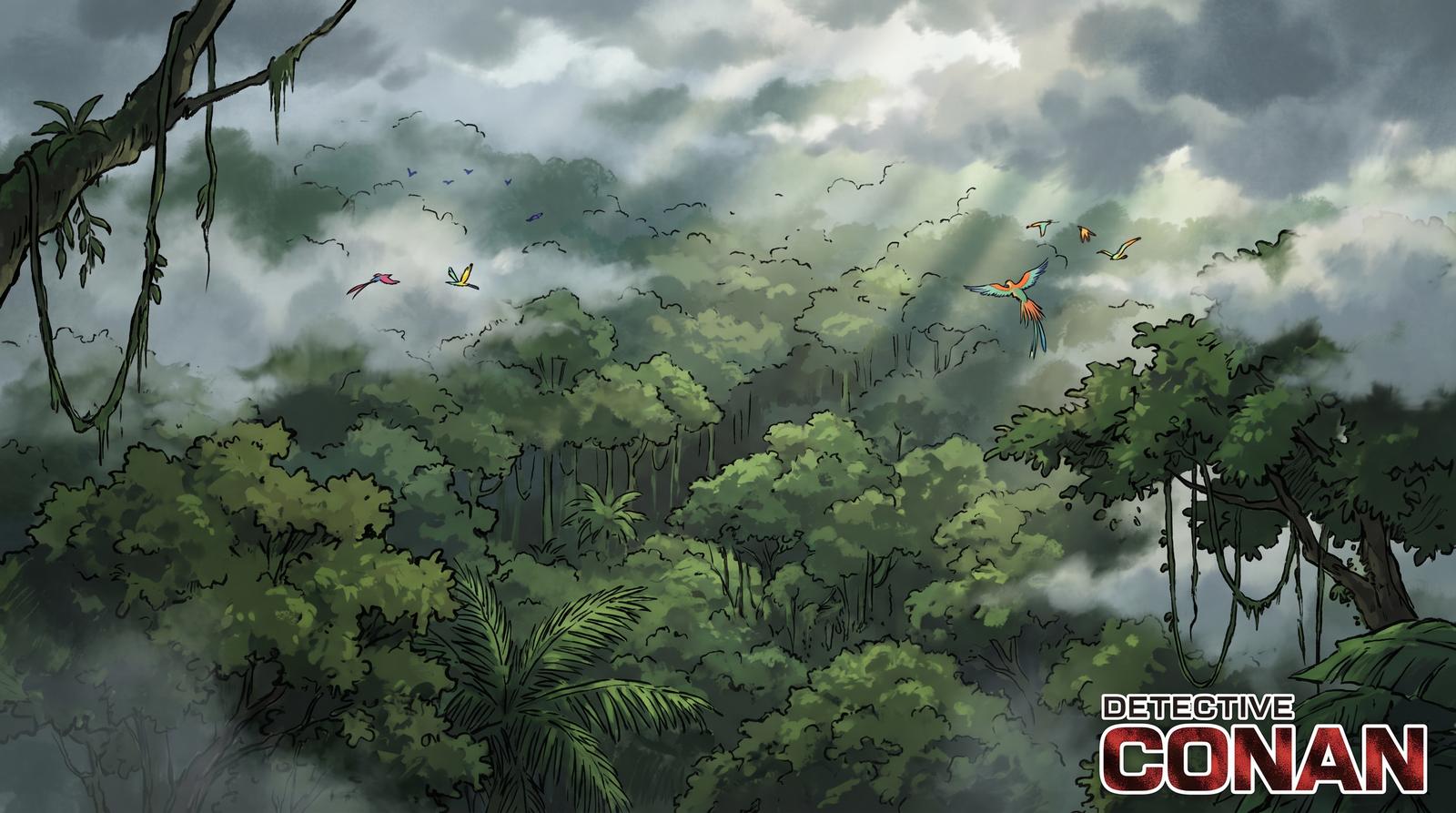 黑丝热带雨林植物视频